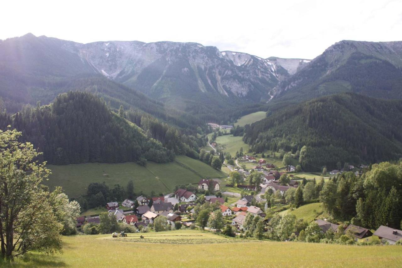 Neuberg an der Mürz Altenbergerhof מראה חיצוני תמונה